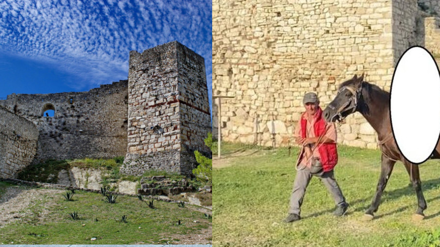 Tjetër ngjarje e rëndë/ 63-vjeçari vret me thikë 42 vjecarin për një kalë, ja kush është autori