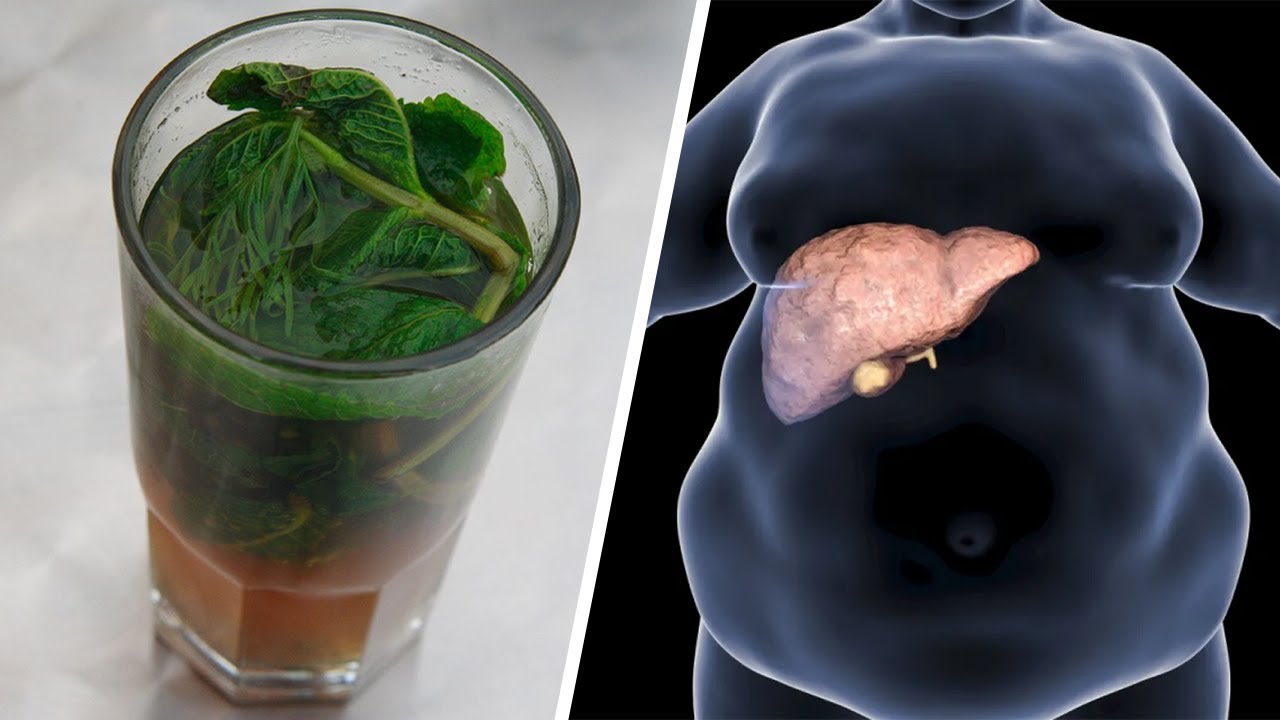 Receta që ka lënë mjekët gojëhapur: Mjafton 1 gotë në ditë dhe do pastroni mëlçinë tërësisht