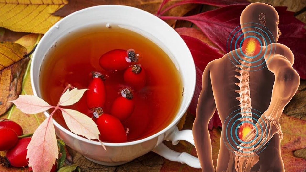 Trëndafili i egër është një “mrekulli” për shëndetin, ja si ta përdorni për të shëruar reumatizmën