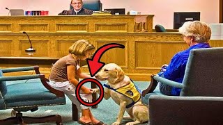 Gjyqtarja Vuri Re Vajzën e Vogël që i Bënte Shenja Qenit — Por Çfarë Ndodhi Më Pas, i Lë të Gjithë pa Frymë!