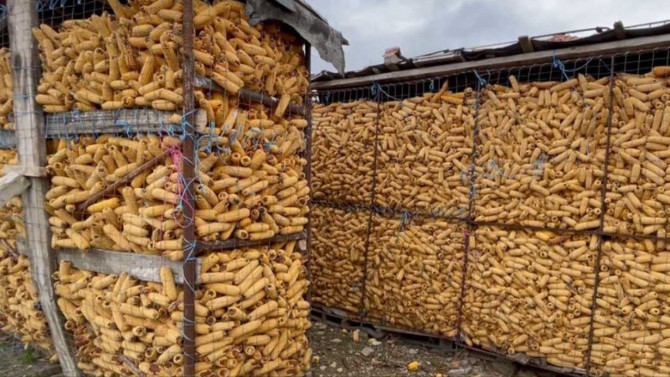 Bllokohen 25 ton misër me substancë toksike, vinte nga..