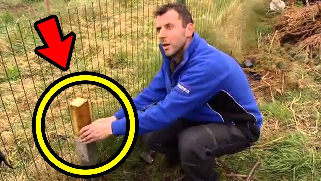 Fqinji i lig vazhdon të zgjerojë oborrin e tij, pastaj ai i mësoi një mësim brutal!