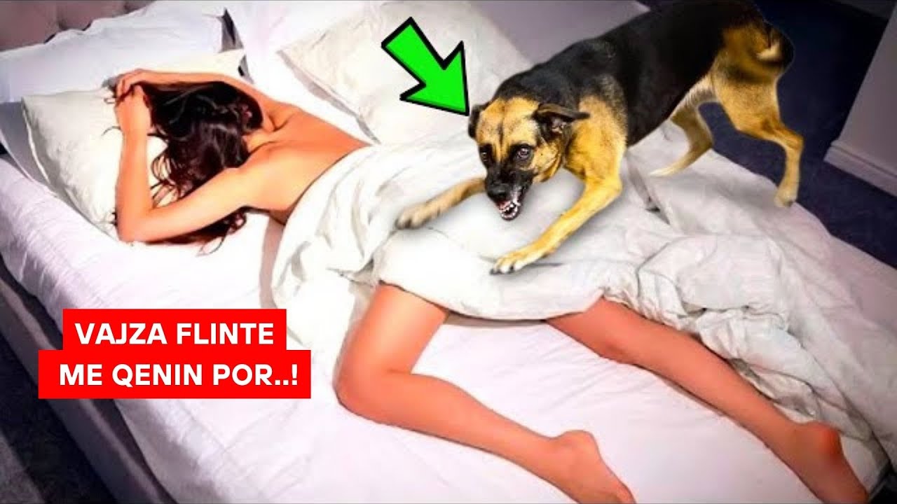 Vajza flinte çdo natë me qenin e saj, por ajo që zbuloi muaj më vonë i ngriti të gjithëve flokët përpjetë!