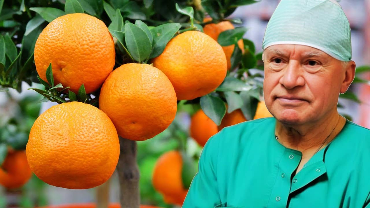 Nuk do ta besoni çfarë i ndodh trupit tuaj nëse hani 2 mandarina në ditë për 1 javë