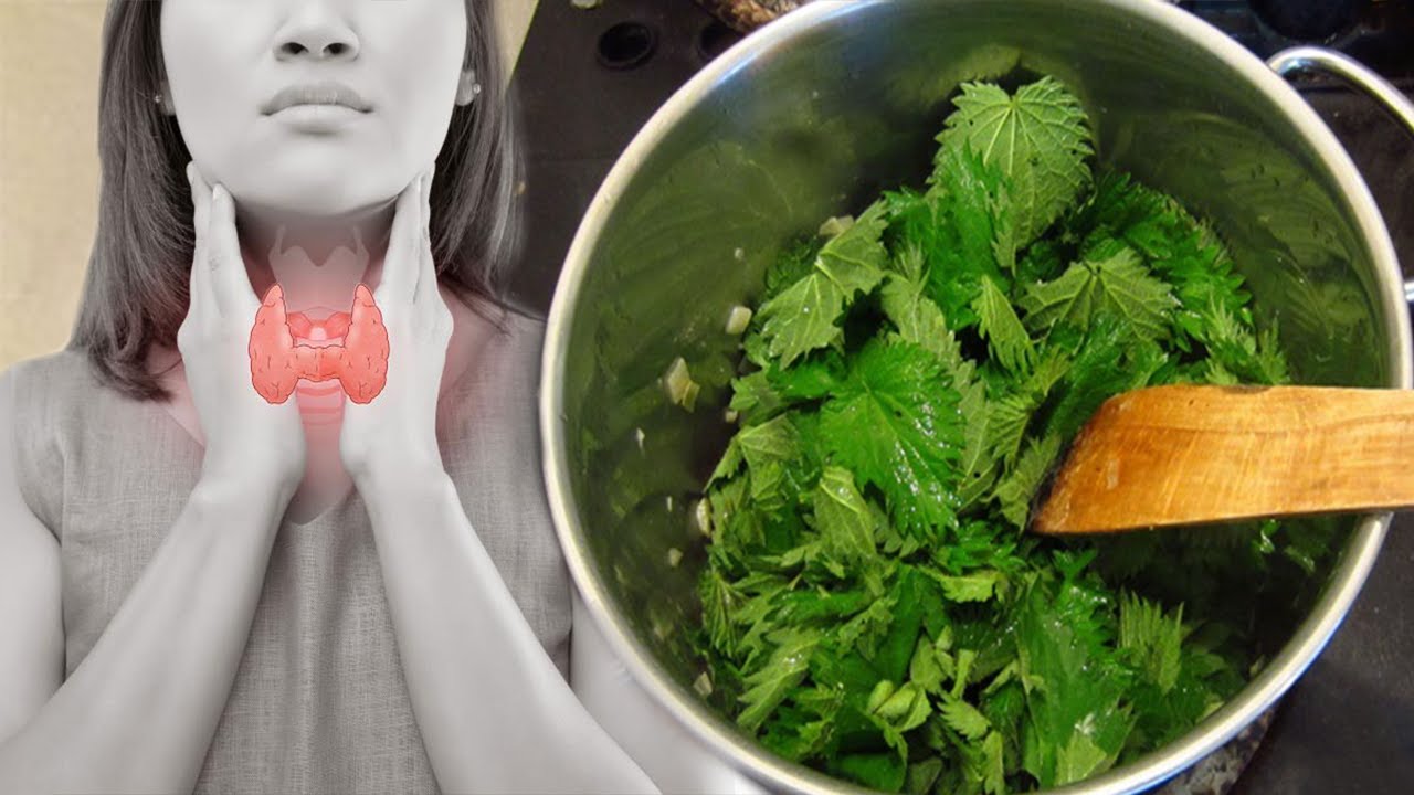 Lëngu i hithrave, pijeni 2 herë në ditë dhe do i thoni “lamtumirë” problemeve me tiroiden
