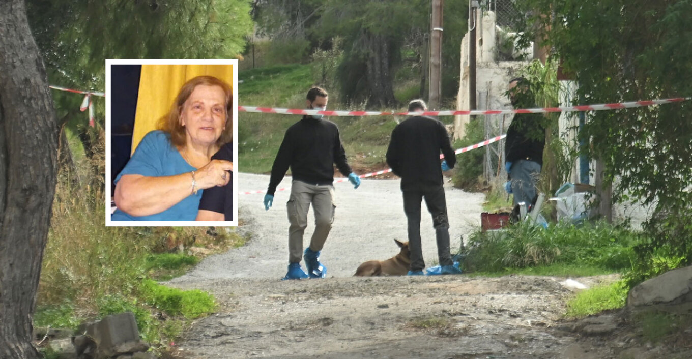 “Ku janë lekët!”- Nusja vrau vjehrrën pasi i vodhi paratë, publikohet përgjimi me fjalët e fundit të 75-vjeçares: Merr çfarë të duash dhe…