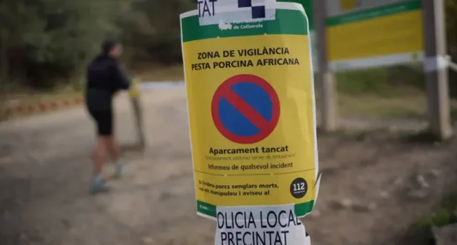 Spanja në ALARM nga humbja e miliarda eurove eksporte për shkak të…