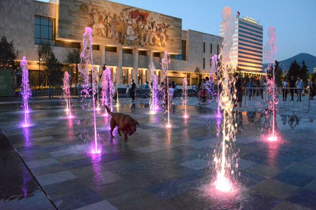 Alarmin e japin shifrat: Shqipëria po mbetet pa të rinj – gati gjysma e tyre kanë ikur!