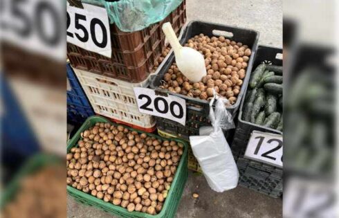 Festat e fundvitit, ndodh e papritura me Cmimet në Shqipëri