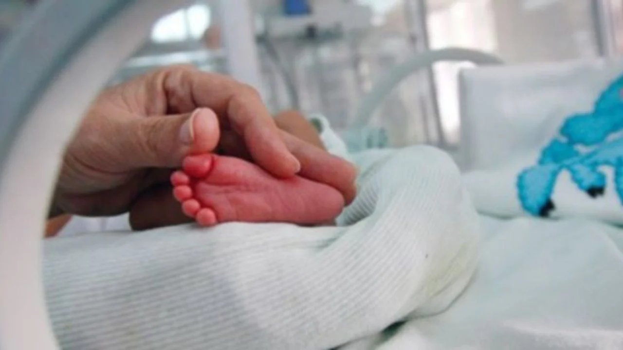 Vijon skandali/ 18 fëmijë në Greqi nga sperma e dhuruesit danez, njëri vdiq para pak kohësh, me kancer kurohet edhe i vëllai