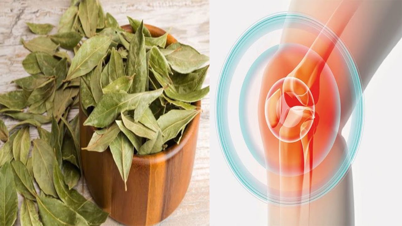 Thoni lamtumirë dhimbjeve të kockave dhe nyjeve vetëm me disa gjethe dafine për 10 minuta