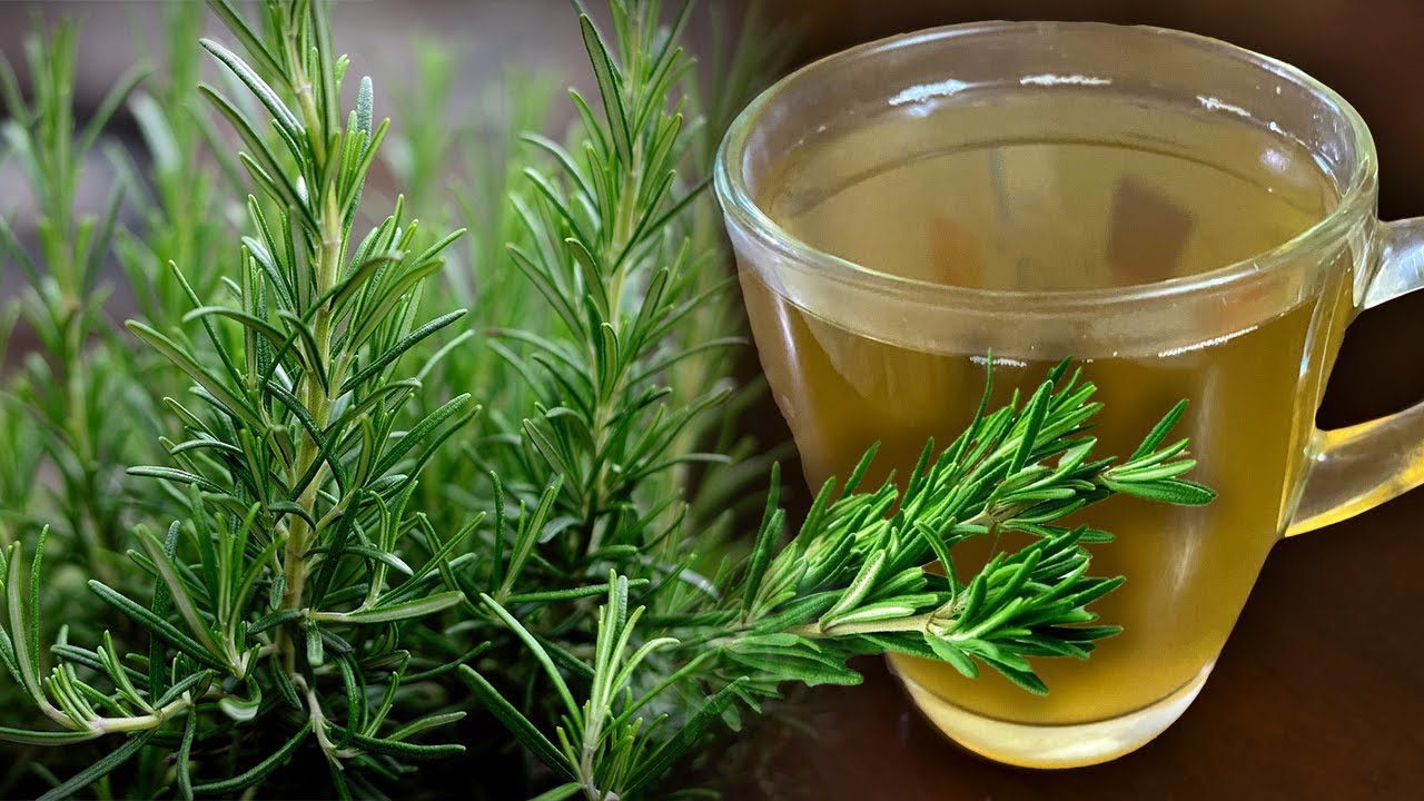 Kjo bimë ka habitur të gjithë mjekët, çaji i rozmarinës i jep fund çdo problemi shëndetësor