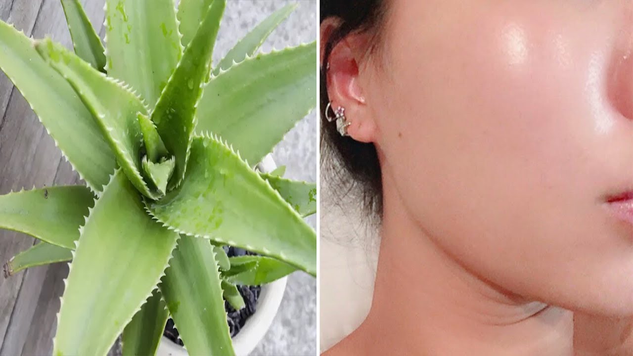 Merrni pak aloe vera dhe përdoreni në këtë mënyrë, rezultati do ju befasoj