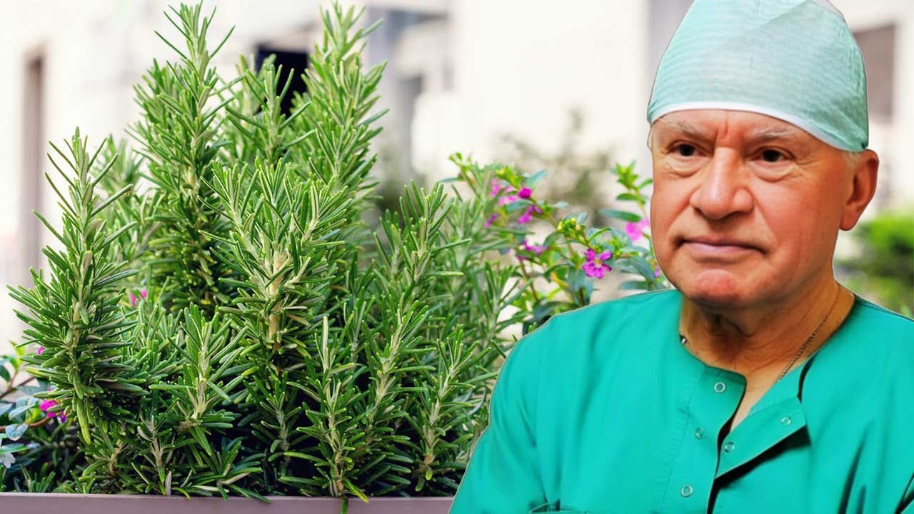 Kjo bimë ka habitur të gjithë mjekët, kjo recetë me rozmarinë është zgjidhja për çdo “sëmundje”
