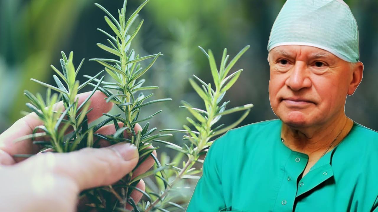 Mbillni këto tre bimë në ballkonin tuaj dhe nuk do vuani kurrë nga këto 7 probleme