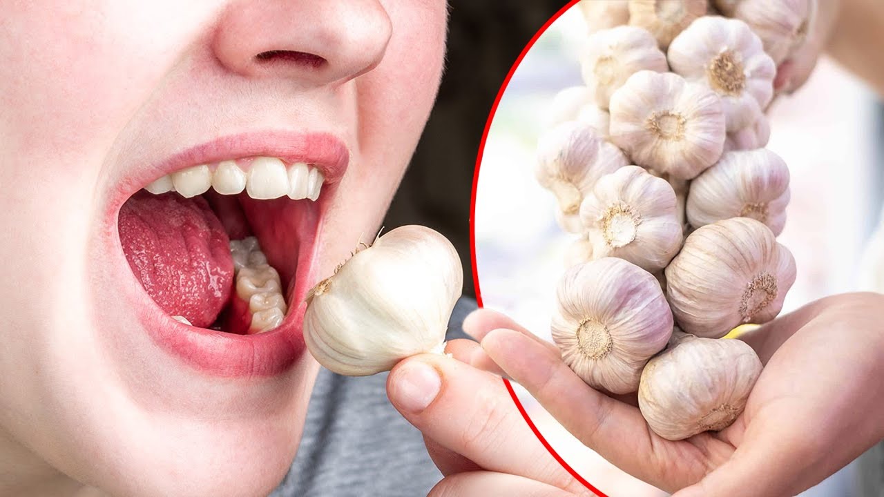 Nëse hani një thelpi hudhër çdo mëngjes, nuk do ta besoni çfarë i ndodh trupit tuaj