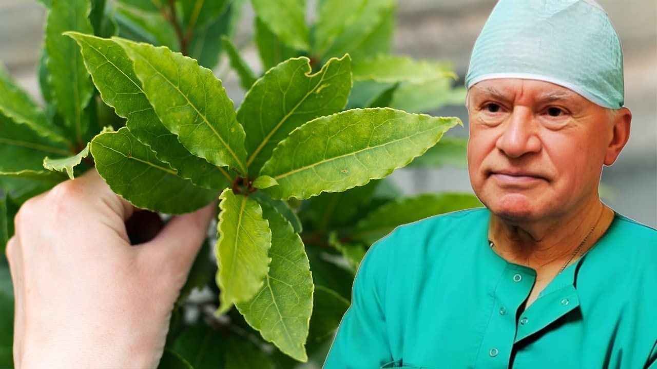 Mjeku çudit botën: Merrni një gjethe nga kjo bimë dhe do shpëtoni nga diabeti, zemra dhe kockat
