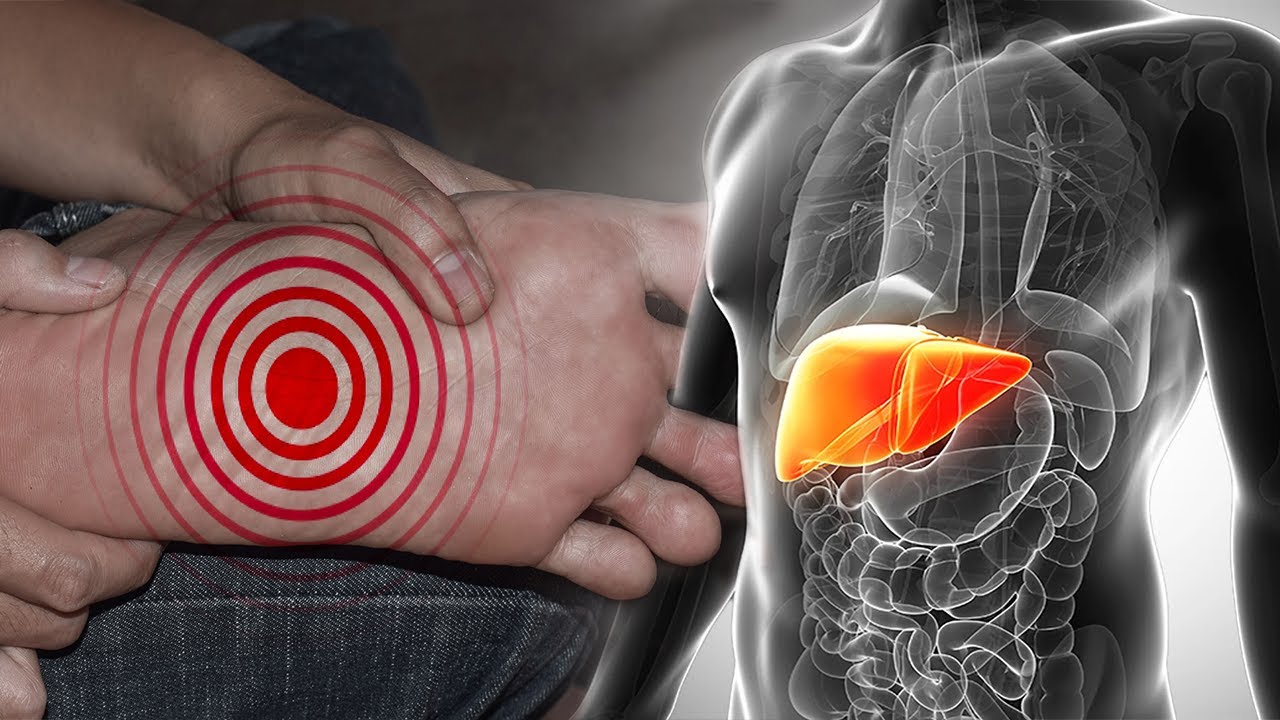 Duhet të shkoni urgjent te mjeku, këto 4 shenja tregojnë që mëlçia juaj nuk po punon siç duhet