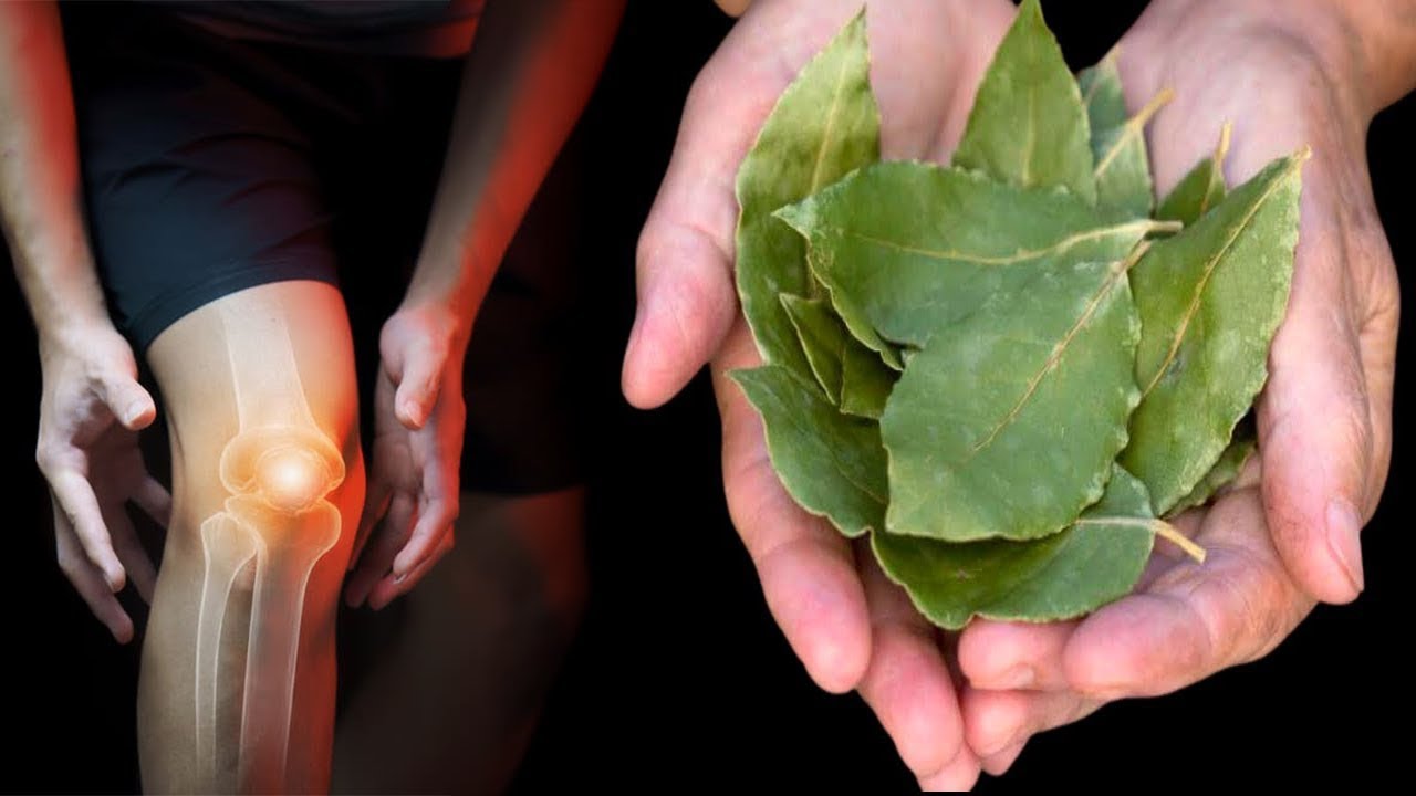 Vetëm 3 gjethe të kësaj bime me pak vaj ulliri i thonë “lamtumirë” artritit, ja receta