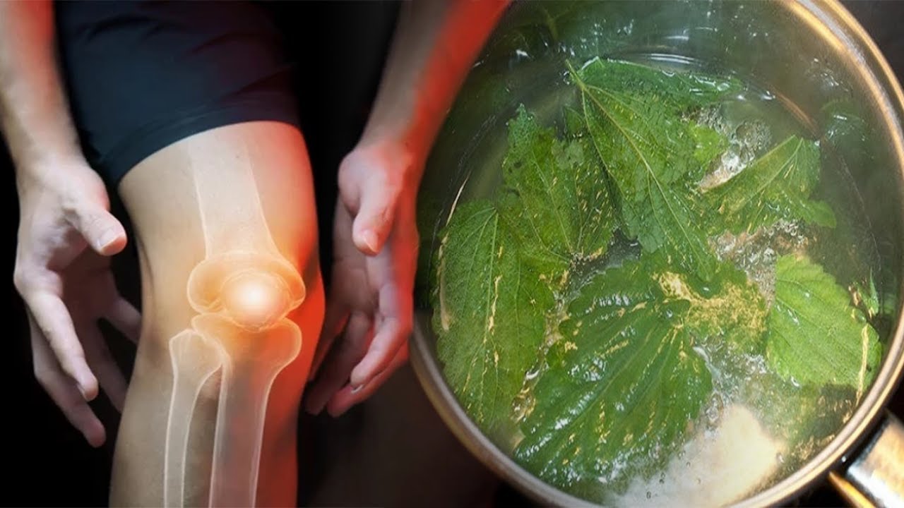 Hithra, sekreti që shëron artritin përgjithmonë, ja si ta përdorni