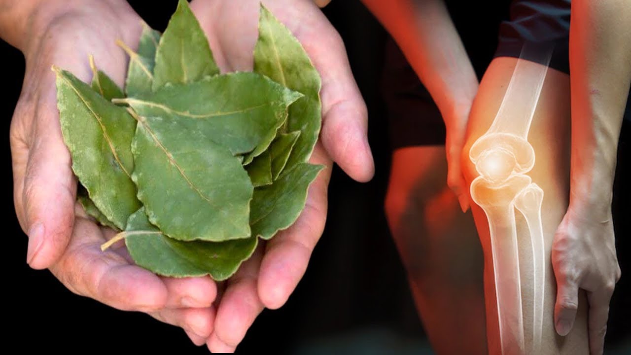 Mjeku “çudit” botën: Konsumoni një gjethe dafine në darkë dhe nuk do vuani më nga ky problem