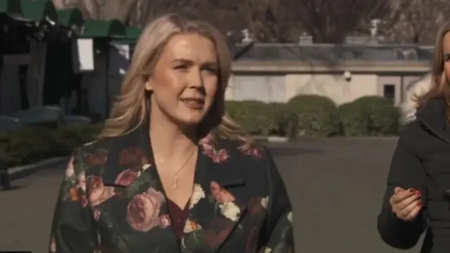 “Trump i mban të gjitha opsionet në tryezë”, sekretarja e Shtëpisë së Bardhë : Presidenti amerikan mund të..