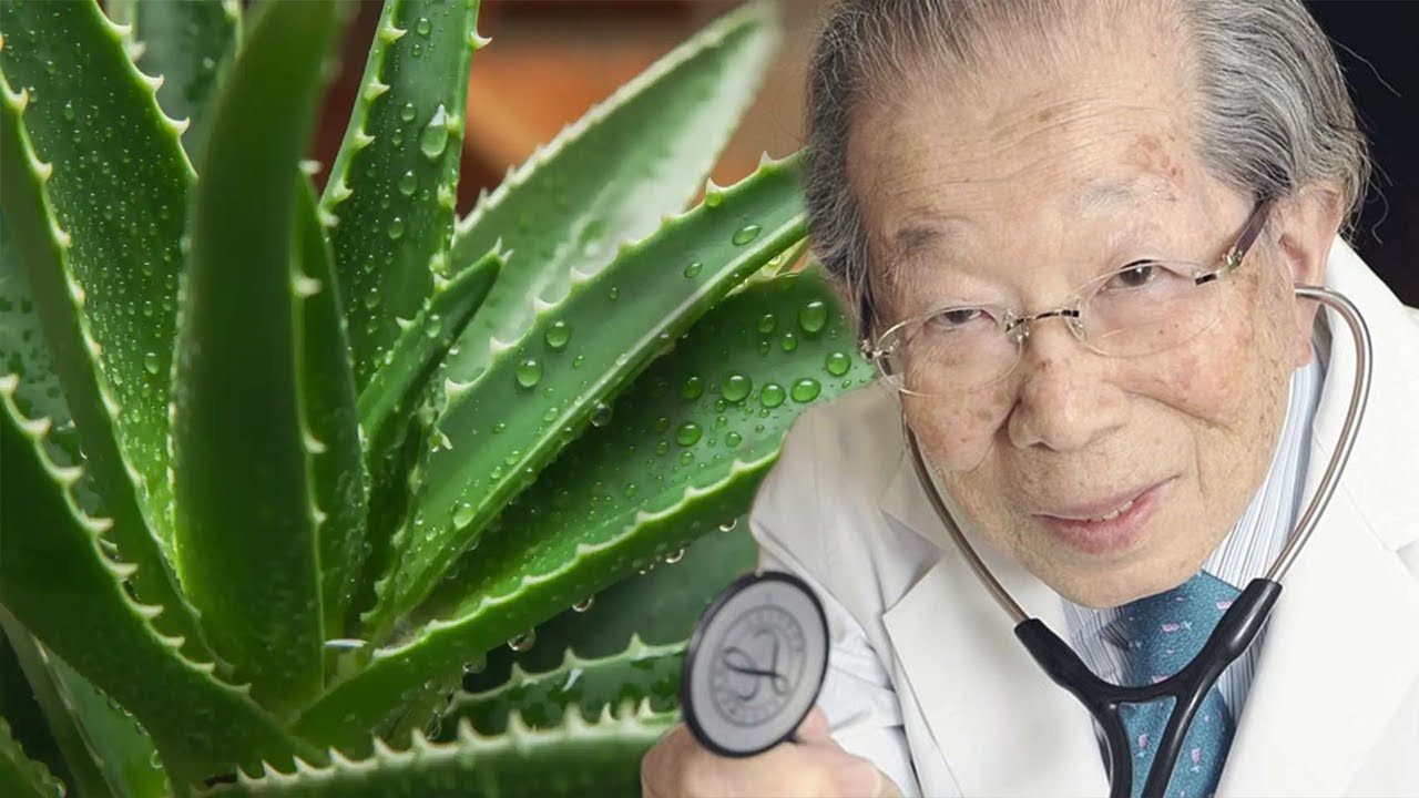 Habit mjeku: Nëse keni aloe vera në shtëpi, “nuk do të vuani kurrë nga këto sëmundje”