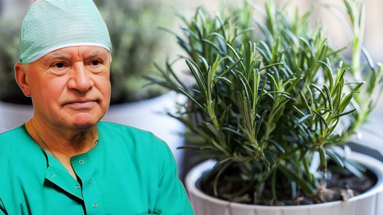 Mjeku çudit botën: Mbani rozmarinë në shtëpi dhe nuk do të vuani kurrë nga këto “sëmundje”