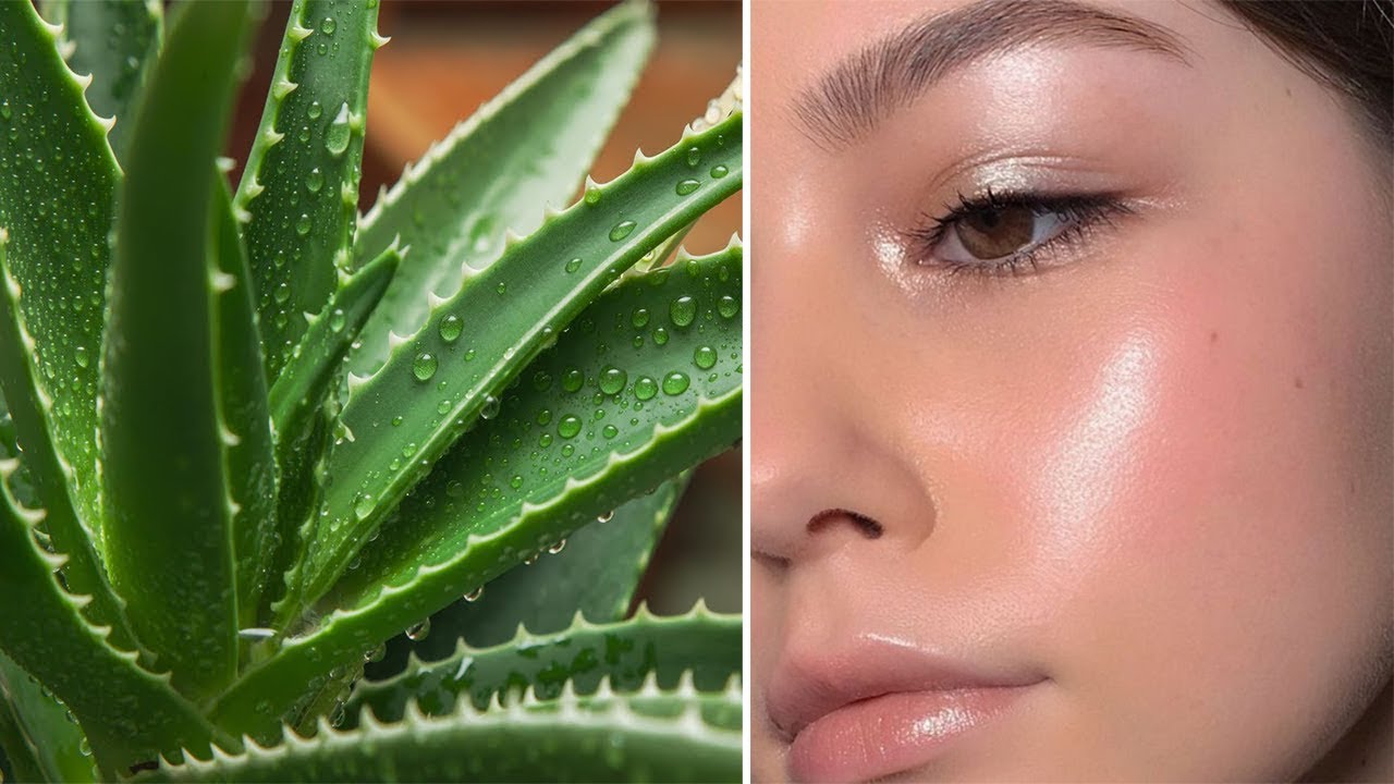 Zbulohet sekreti bukurisë. Merrni pak aloe vera dhe ja si ta përdorni, rezultati do ju befasoj