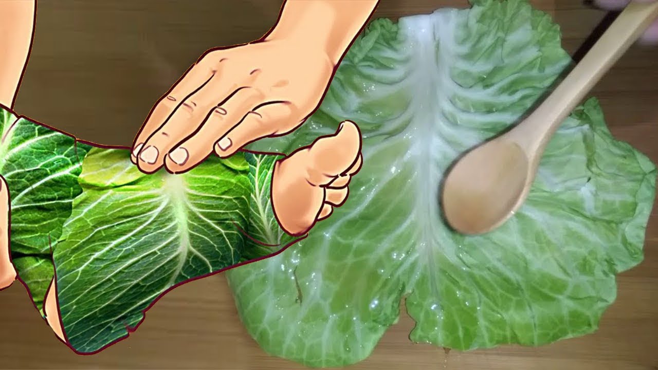 Mjeku çudit botën: Mos i hidhni gjethet e lakrës, përdorini në këtë mënyrë dhe shëroni këto sëmundje