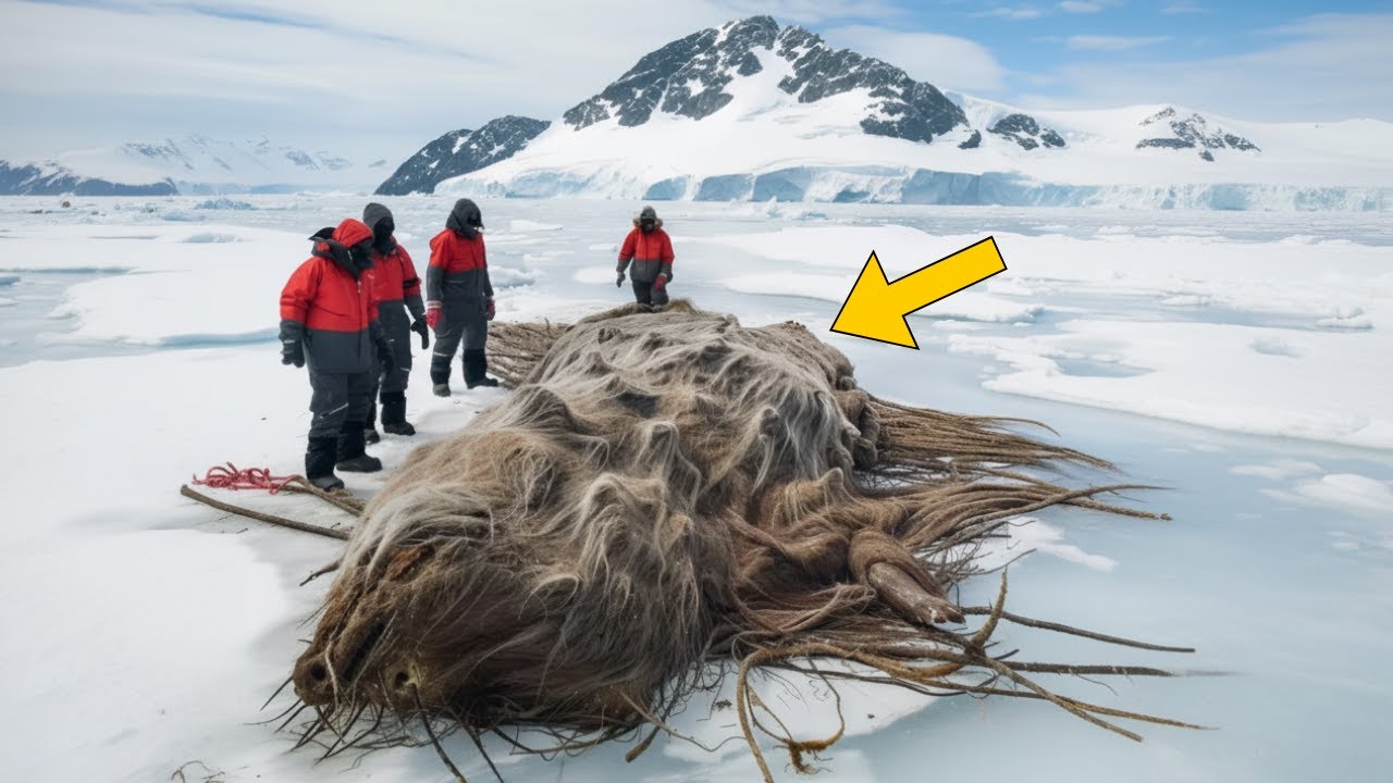 Zbulim tronditës në Alaskë – shkencëtarët thonë se mund të ndryshojë botën