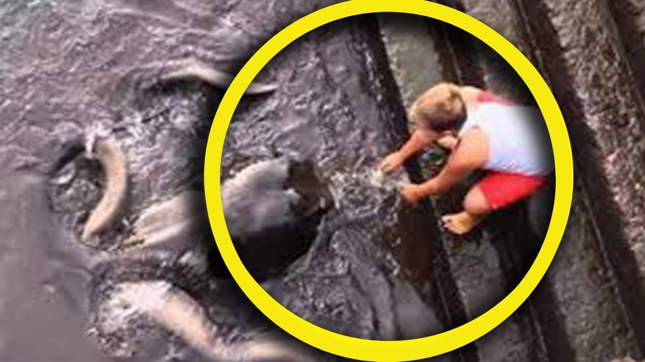 Djali ndjen një prekje nën ujë — më pas sheh krijesën që e trondit